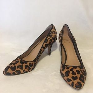 International Concepts Zitah